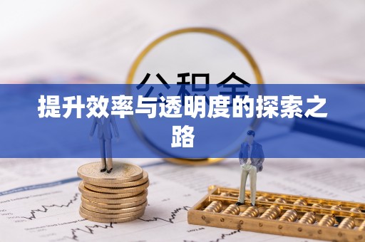鄂州提升效率与透明度的探索之路